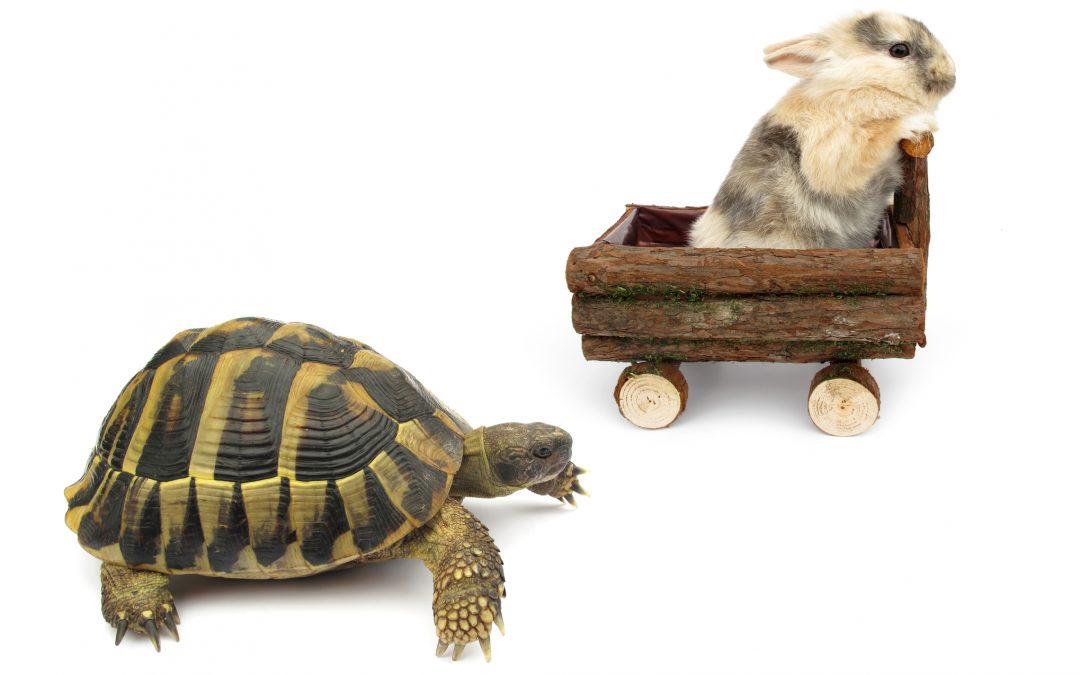 The Tortoise and The Hare and Google Entitlement Mentality